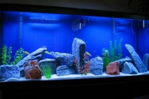 Название: 00.jpg Просмотров: 83 Размер: 10.0 Кб