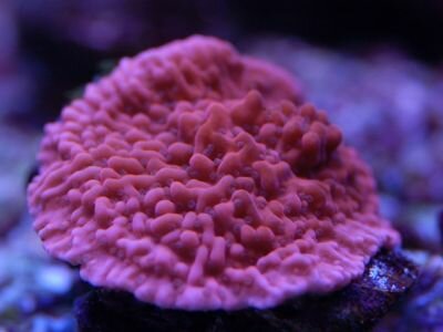 Название: 7_1258675951.jpg Просмотров: 130 Размер: 18.8 Кб