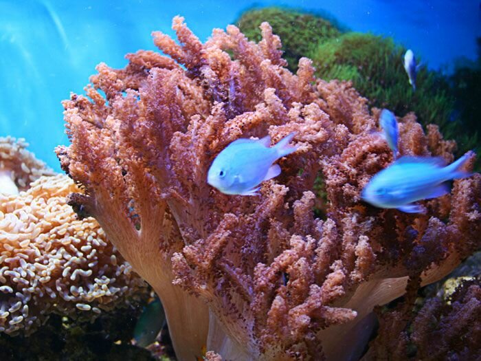 Название: 45_166.jpg Просмотров: 101 Размер: 91.8 Кб