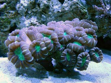 Название: 5.jpg Просмотров: 45 Размер: 26.5 Кб